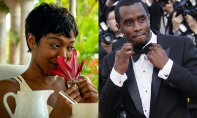 Dinamicas de poder en la elite La relacion del caso P. Diddy con la pelicula Blink Twice